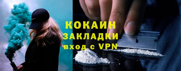 стаф Богданович