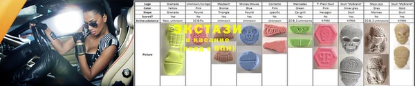 стаф Богданович