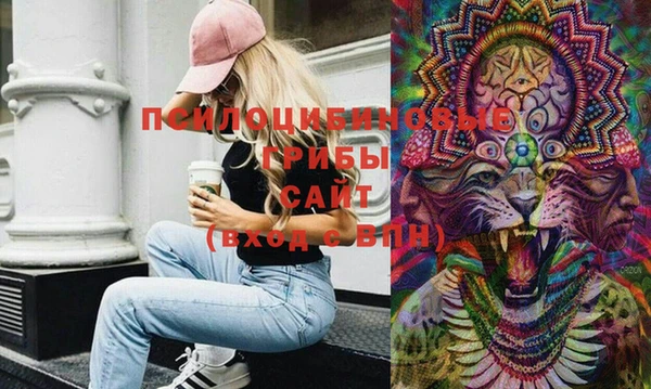 MDMA Premium VHQ Бронницы