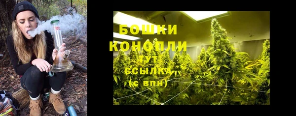 СК Богородицк