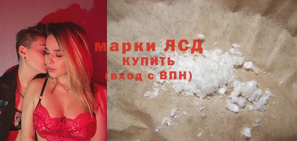 стаф Богданович