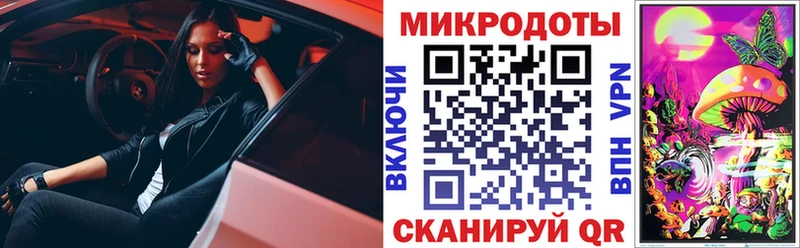 сколько стоит  Жуков  darknet как зайти  Галлюциногенные грибы мицелий 